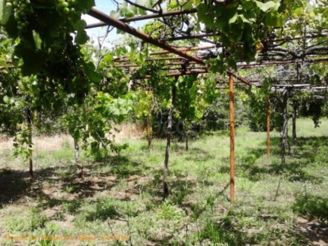 Parcela na predaj 936 m² – Pula