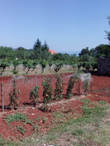 Terreno In vendita - Istarska Marčana - foto 2/5