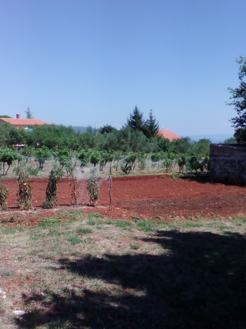 Parcela Naprodaj - Istarska Marčana