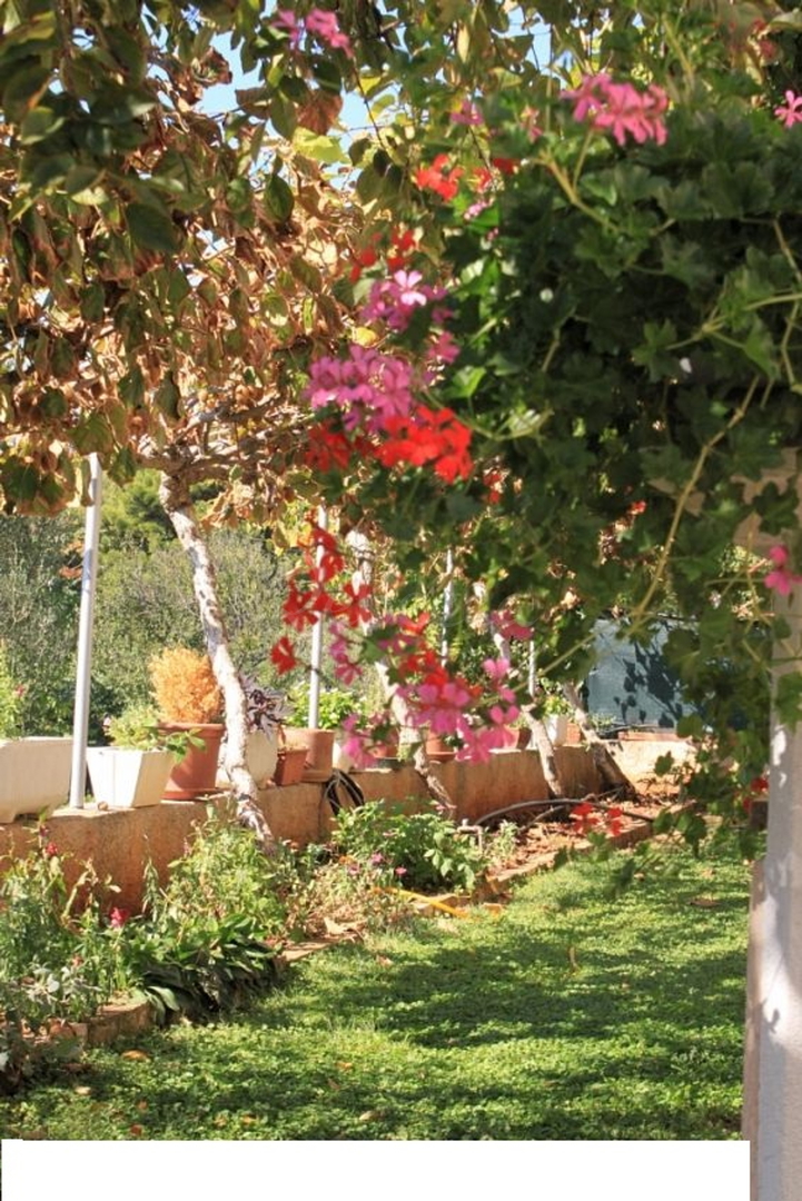 House For sale -  Fažana