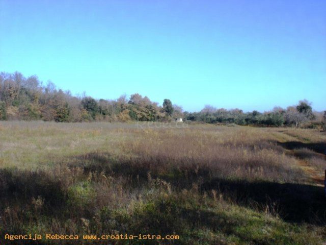 Terrain à vendre 20000 m² – Marčana