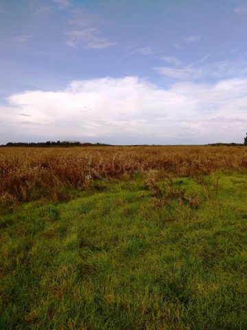 Parcela na predaj 2350 m² – Pula