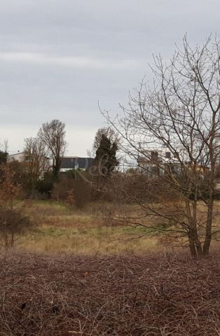 Parcela Naprodaj - Istarska Veli Vrh - foto 2/4
