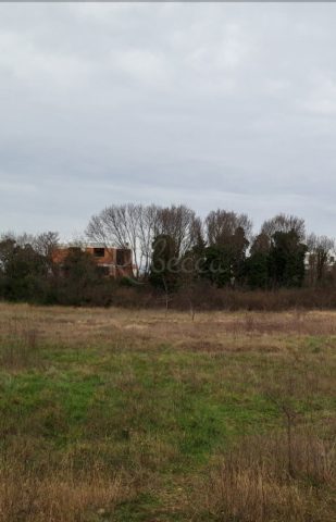 Parcela Naprodaj - Istarska Veli Vrh - foto 4/4
