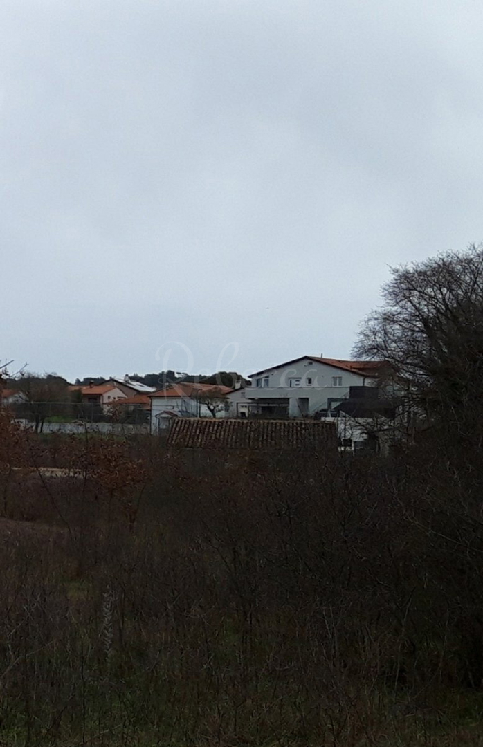 Terreno In vendita - Istarska Veli Vrh - foto 3/3