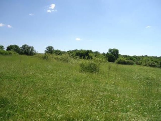 Pozemok na predaj 6432 m² – Bale