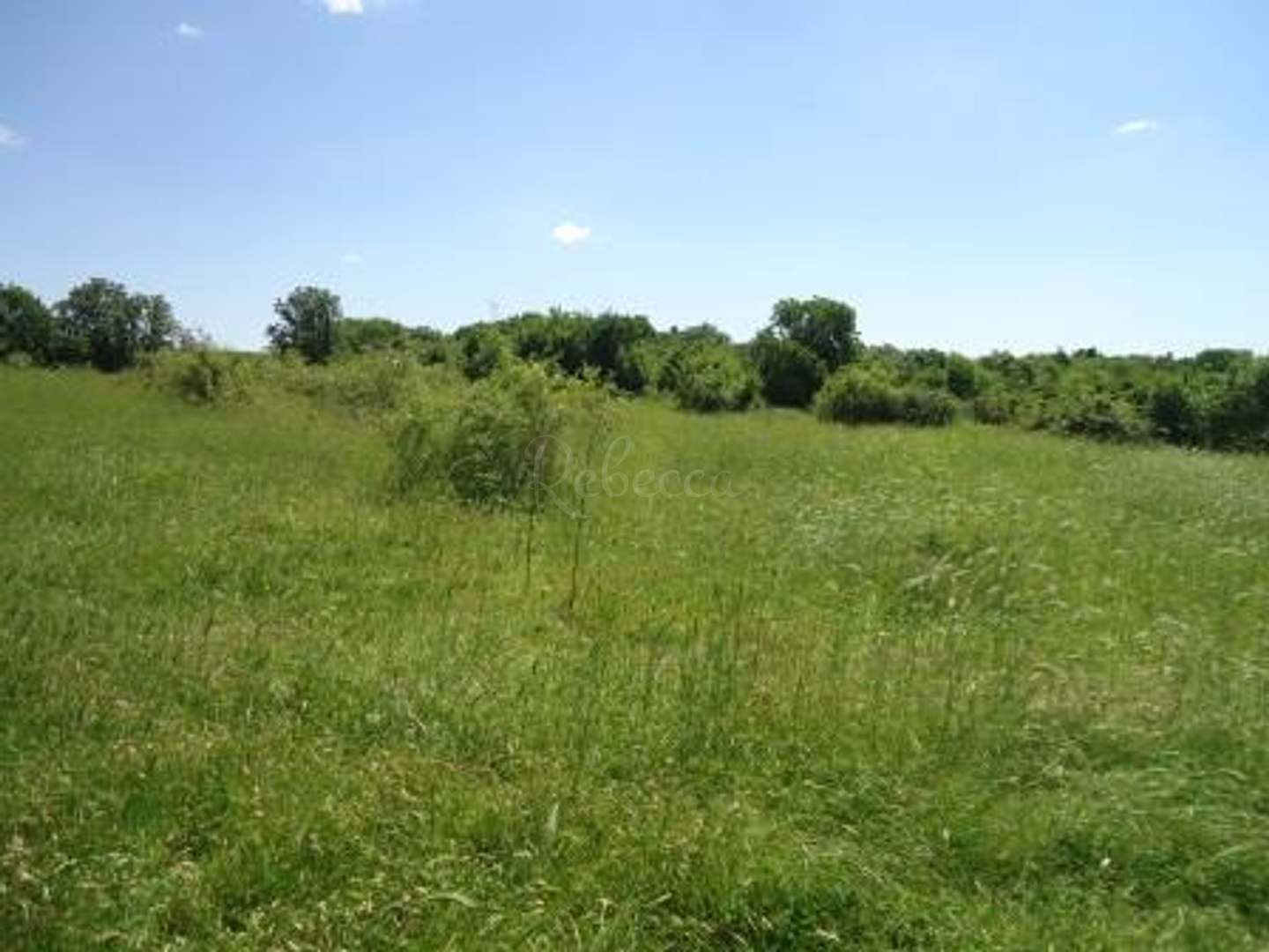 Działka Na sprzedaż -  Bale