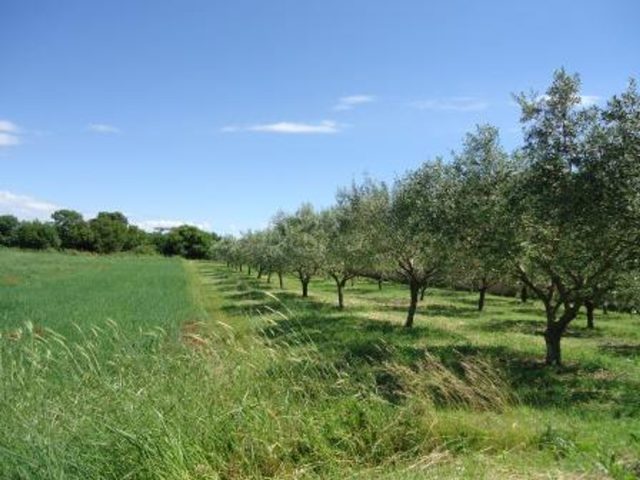 Terrain à vendre 4480 m² – Vodnjan