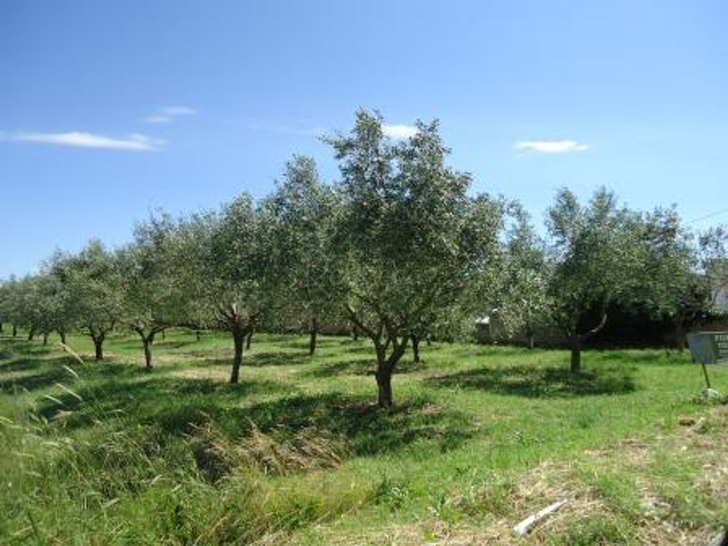 Grundstück Zu verkaufen -  Galižana