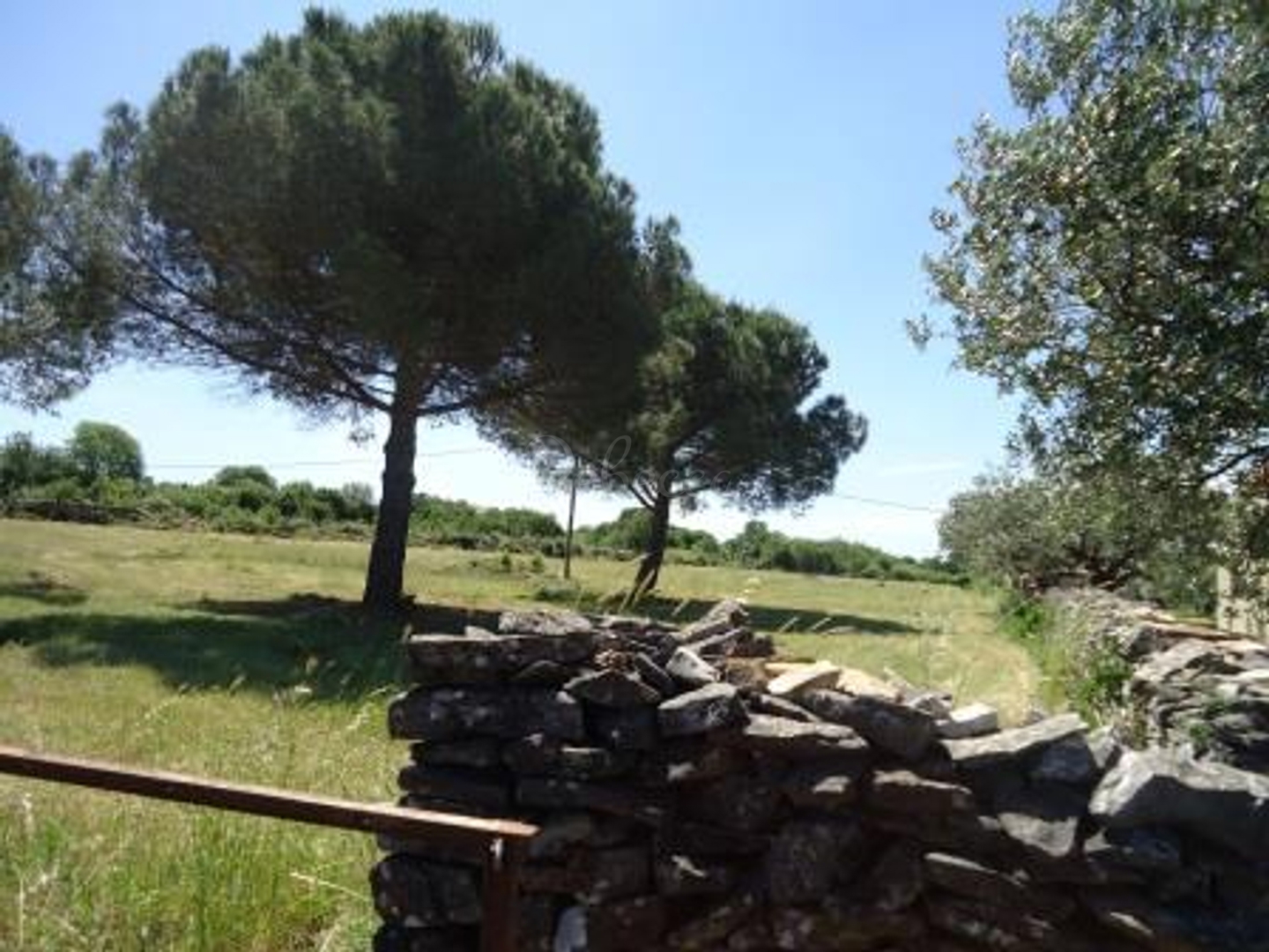 Parcela Naprodaj - Istarska Galižana