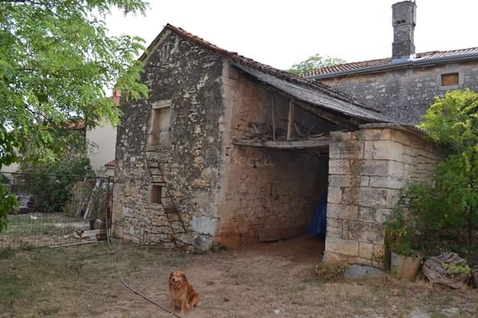 Dom Na predaj -  Triban