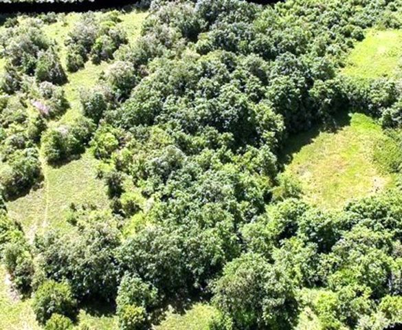 Terreno in vendita 46000 m² – Orbanići