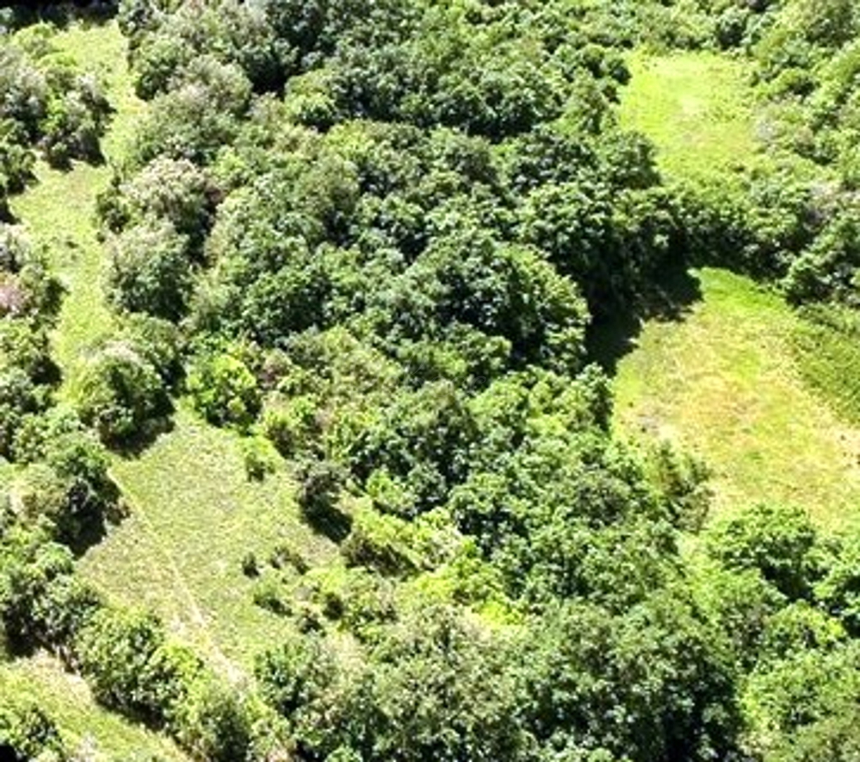 Terreno In vendita -  Orbanići