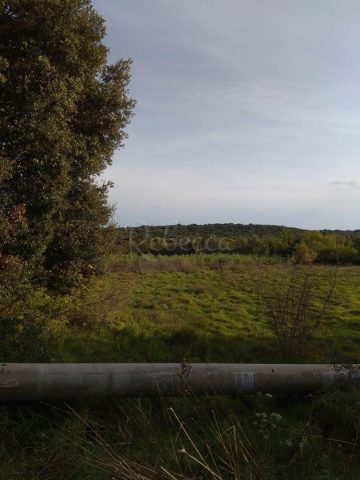Land for sale 4300 m² – Pula