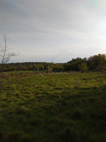 Parcela Naprodaj - Istarska štinjan - foto 4/5