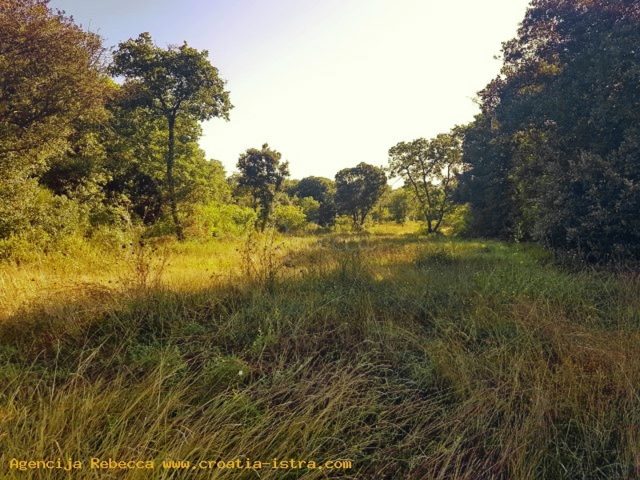 Land for sale 6572 m² – Ližnjan