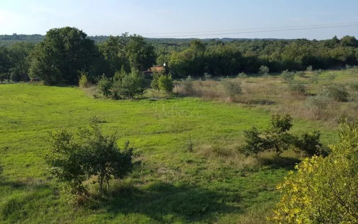 Terreno in vendita 5000 m² – Loborika