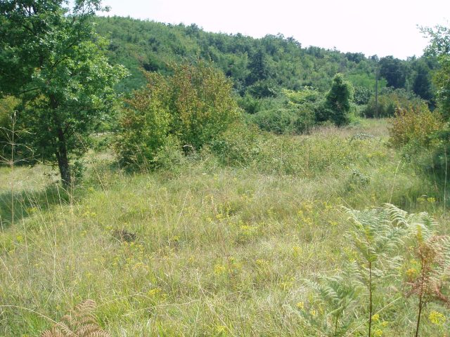 Land for sale 2590 m² – Pazin