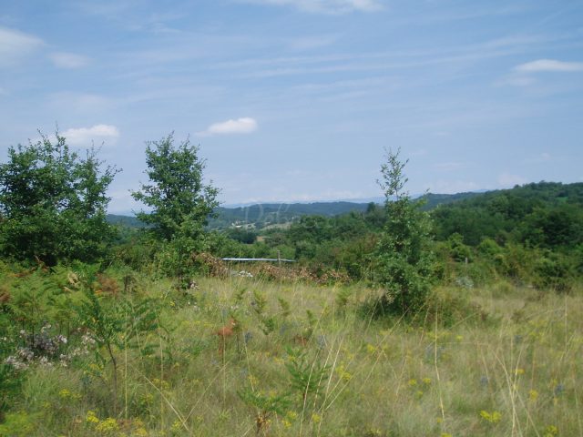 Land For sale - Istarska Pazin - foto 5/9