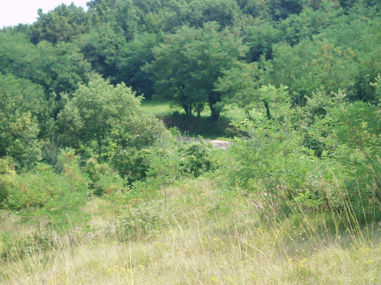 Terrain À vendre - Istarska Pazin - foto 2/9