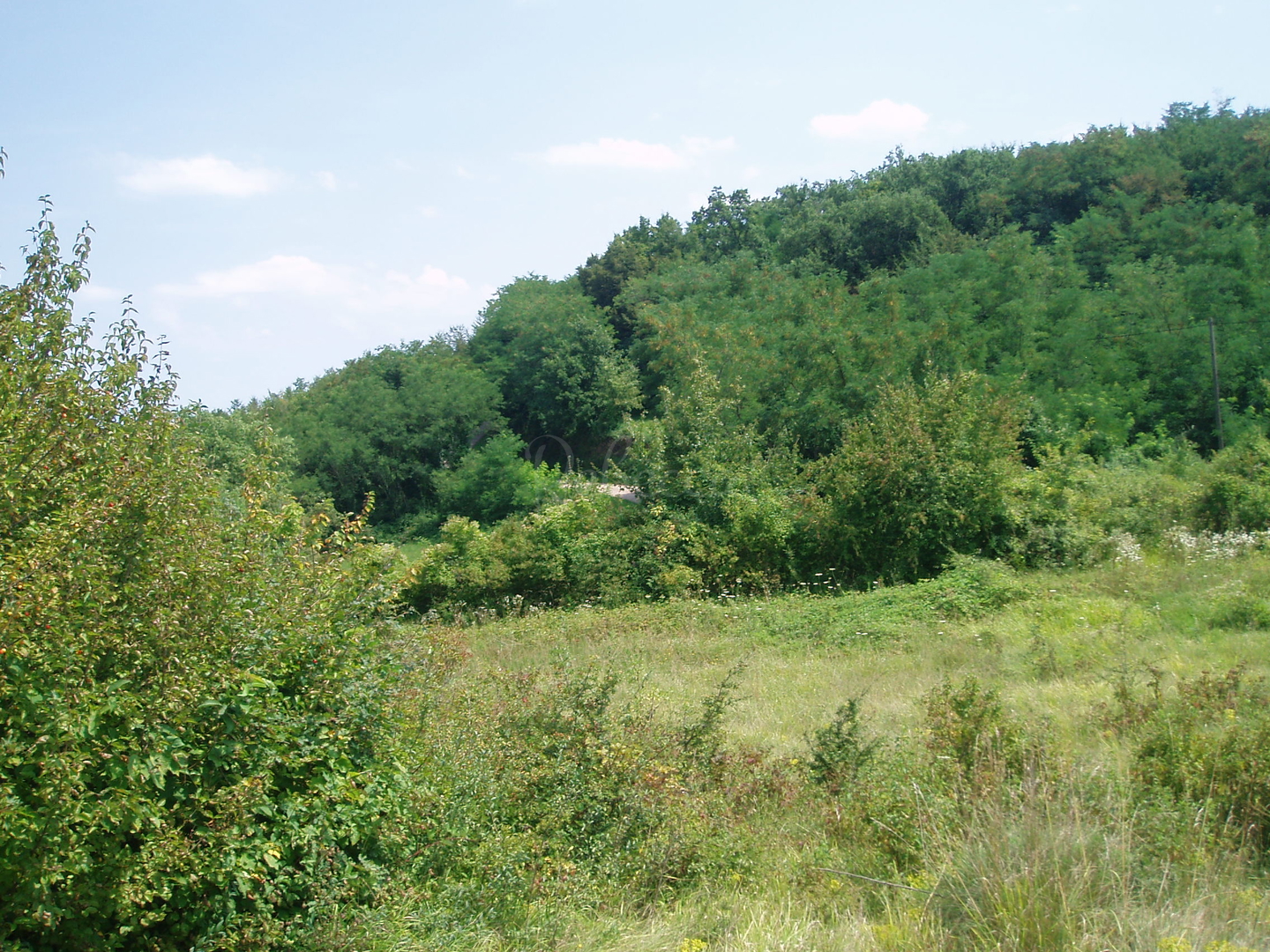 Terrain À vendre - Istarska Pazin - foto 3/9