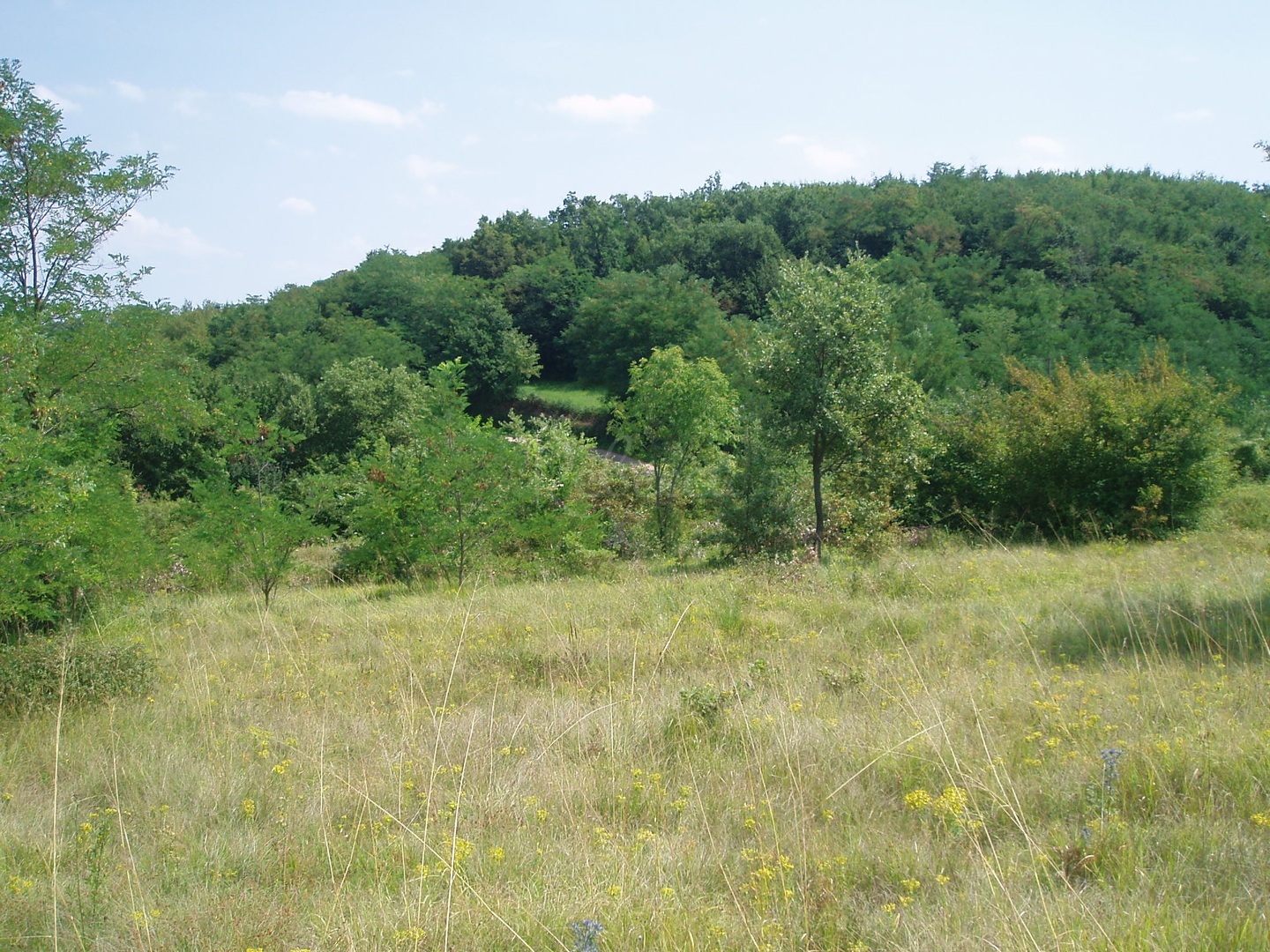 Terrain À vendre - Istarska Pazin - foto 4/9