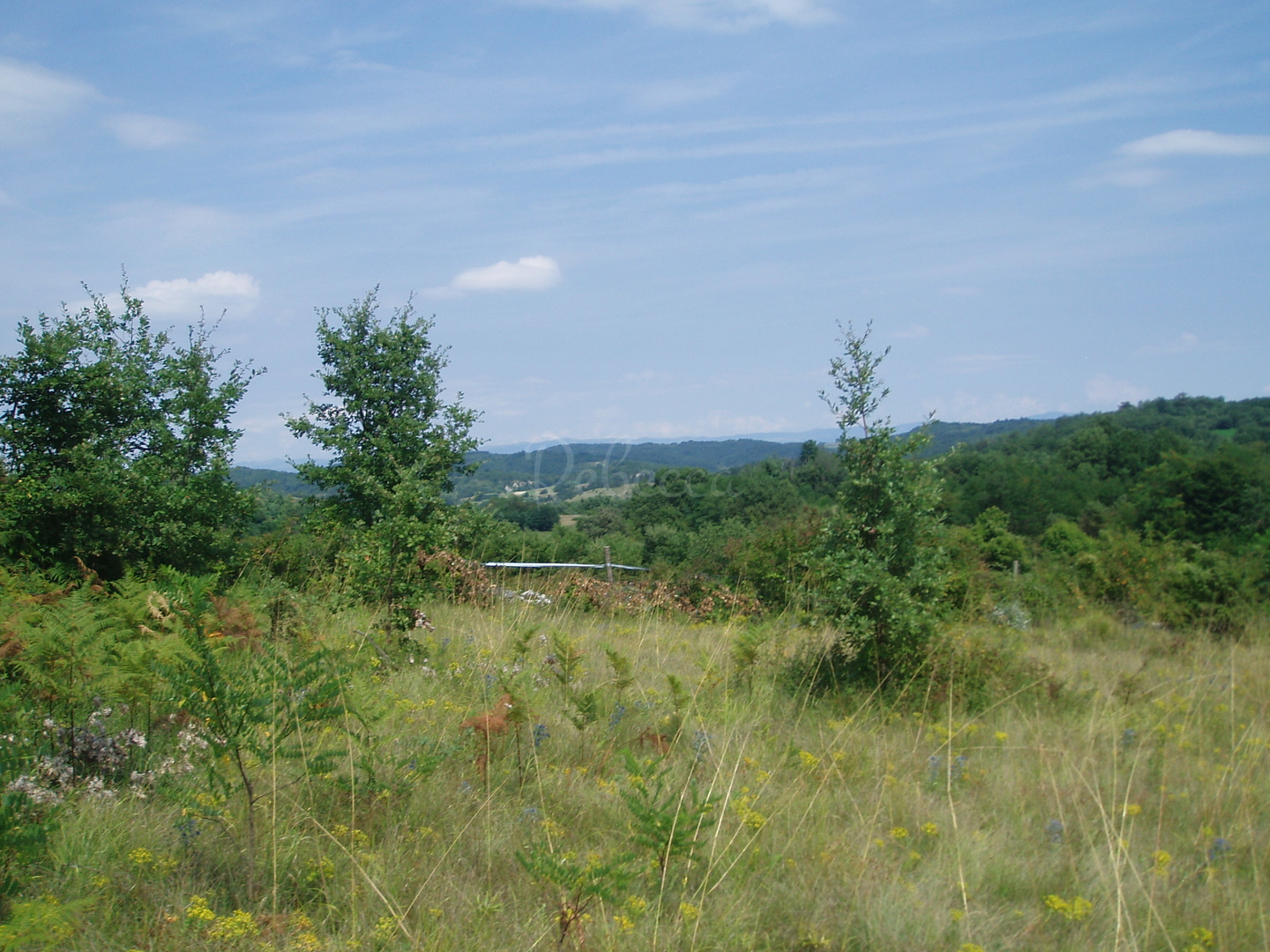 Terrain À vendre - Istarska Pazin - foto 5/9