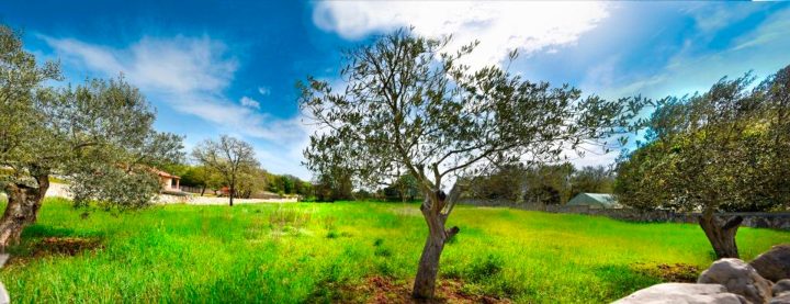 Land for sale 2387 m² – Vodnjan