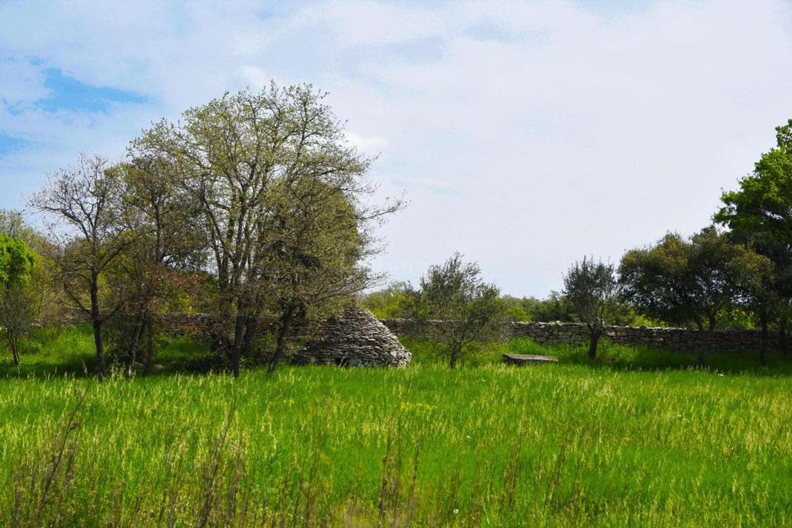 Parcela Naprodaj - Istarska Vodnjan