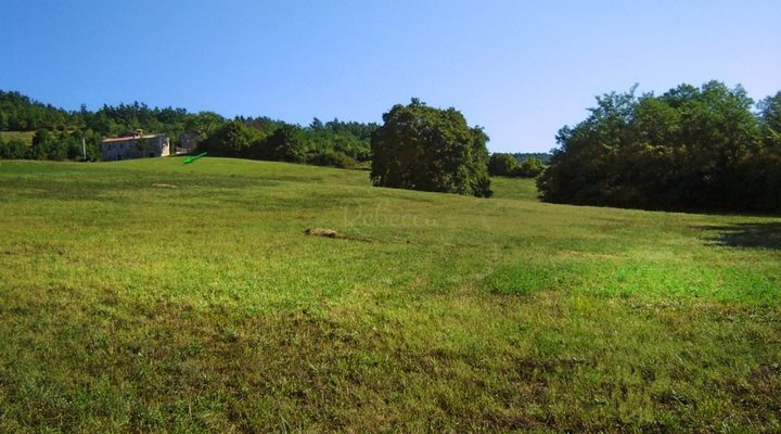 Parcela na predaj 16637 m² – Novaki Motovunski