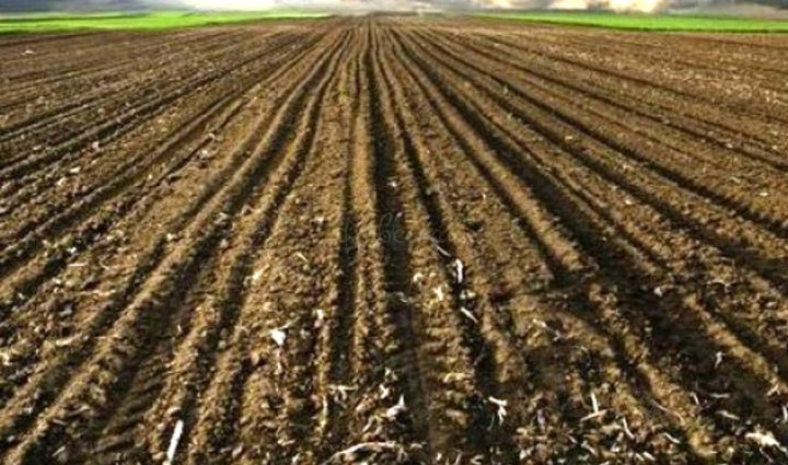 Land for sale 4054 m² – Barban