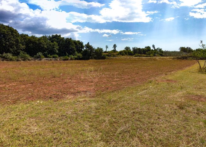 Terreno in vendita 3700 m² – Svetvinčenat