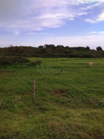 Parcela Naprodaj - Istarska Valdebek - foto 2/2