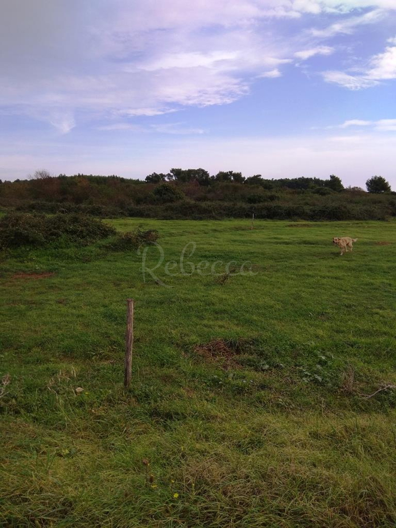Land For sale - Valdebek - foto 2/2