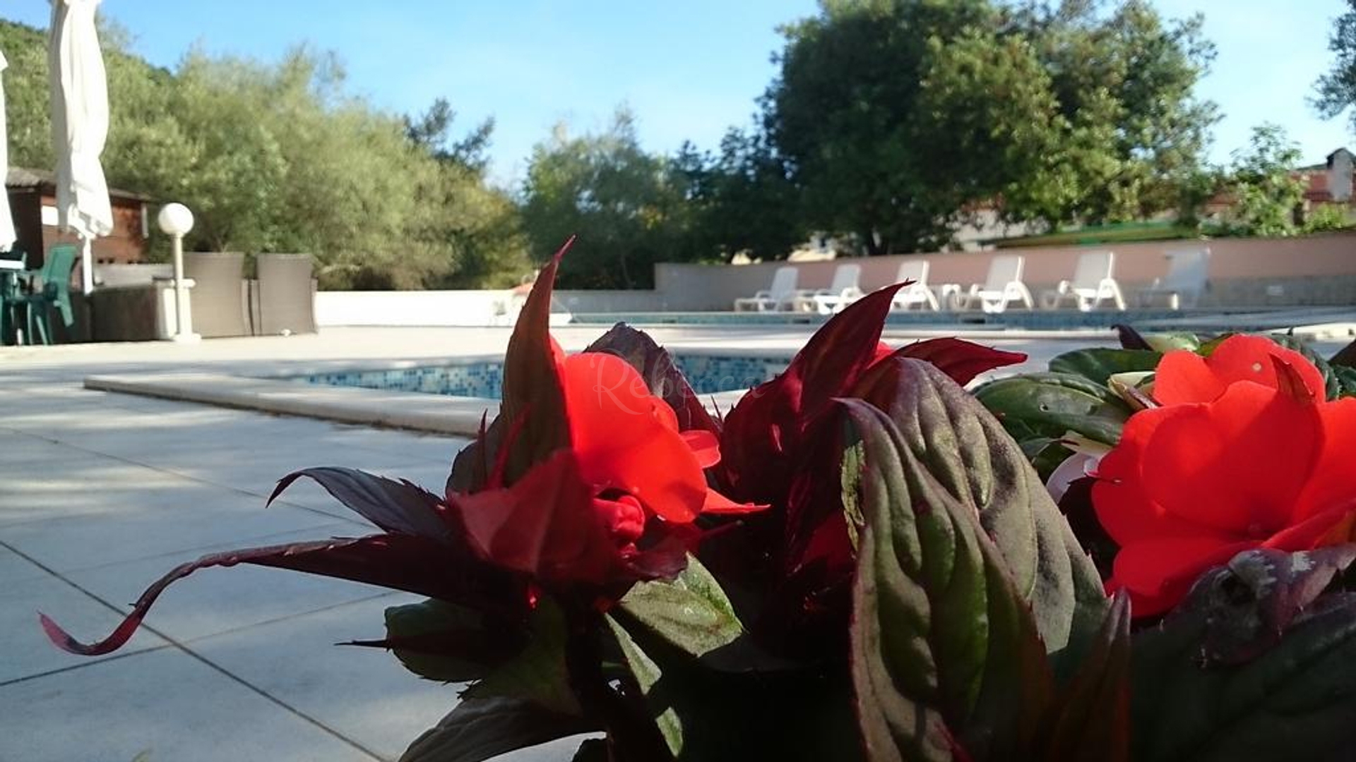 Hotel In vendita - Istarska Krnica - foto 4/12
