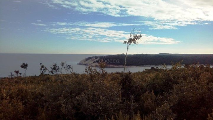 Parcela Naprodaj - Istarska Kavran - foto 2/6