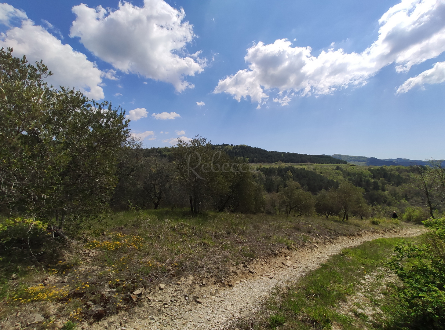 Zemljište Na prodaju -  Cerovlje