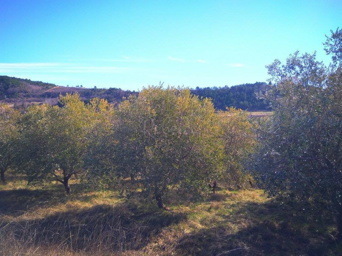 Zemljište Na prodaju -  Cerovlje
