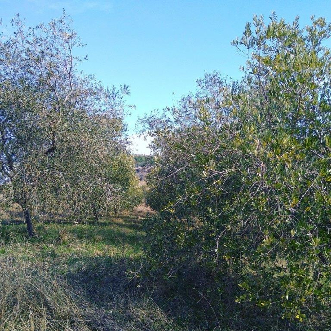 Zemljište Na prodaju -  Cerovlje