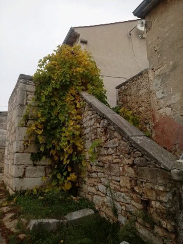 Haus Zu verkaufen - Istarska Višnjan - foto 5/6
