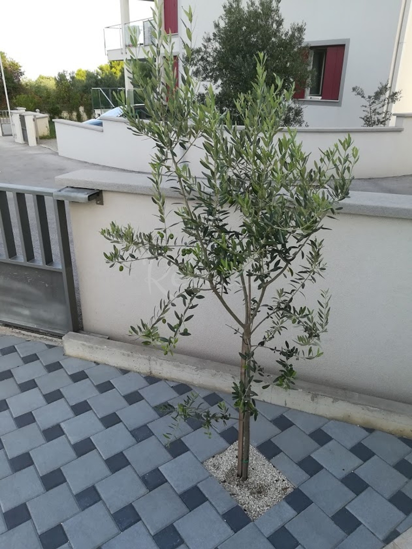 Apartment Zu verkaufen -  Peroj