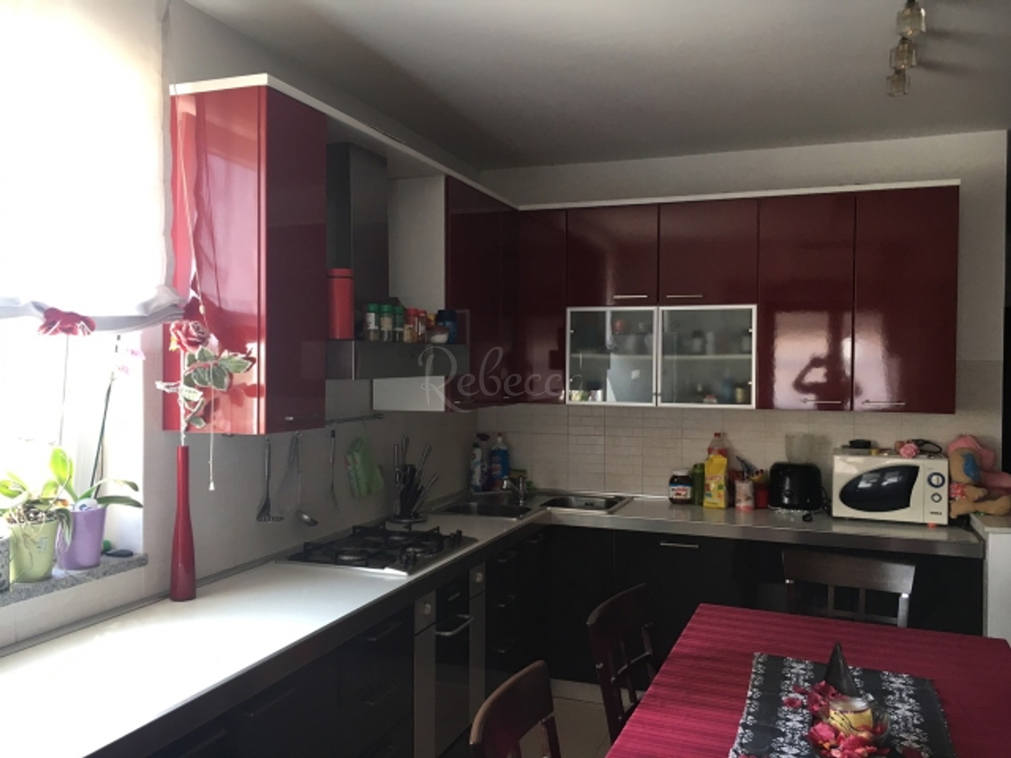 Apartmán Na predaj - Gregovica - foto 2/14