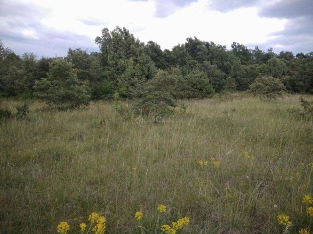 Pozemek na prodej 35000 m² – Svetvinčenat
