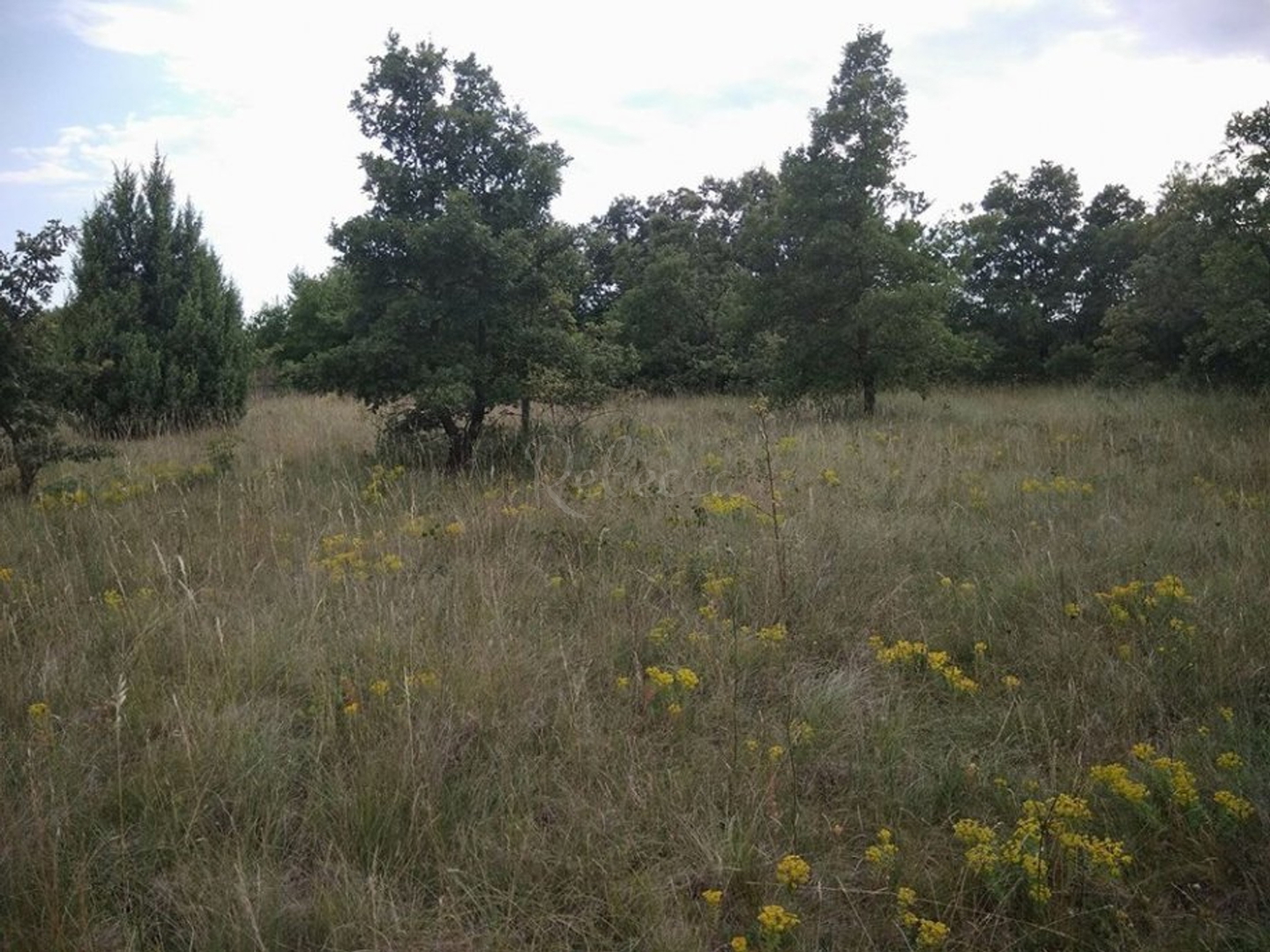 Parcela Na predaj -  Svetvinčenat