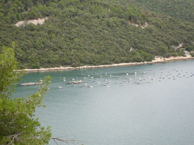 Terreno In vendita - Istarska Valtura - foto 2/2