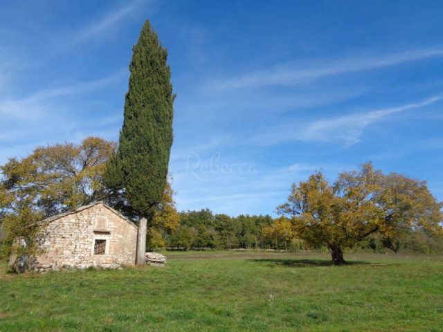 Terrain à vendre 20000 m² – Žminj