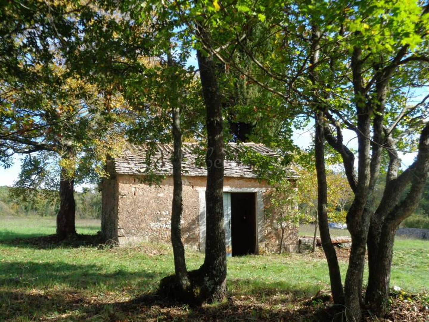 Land For sale - Istarska Žminj