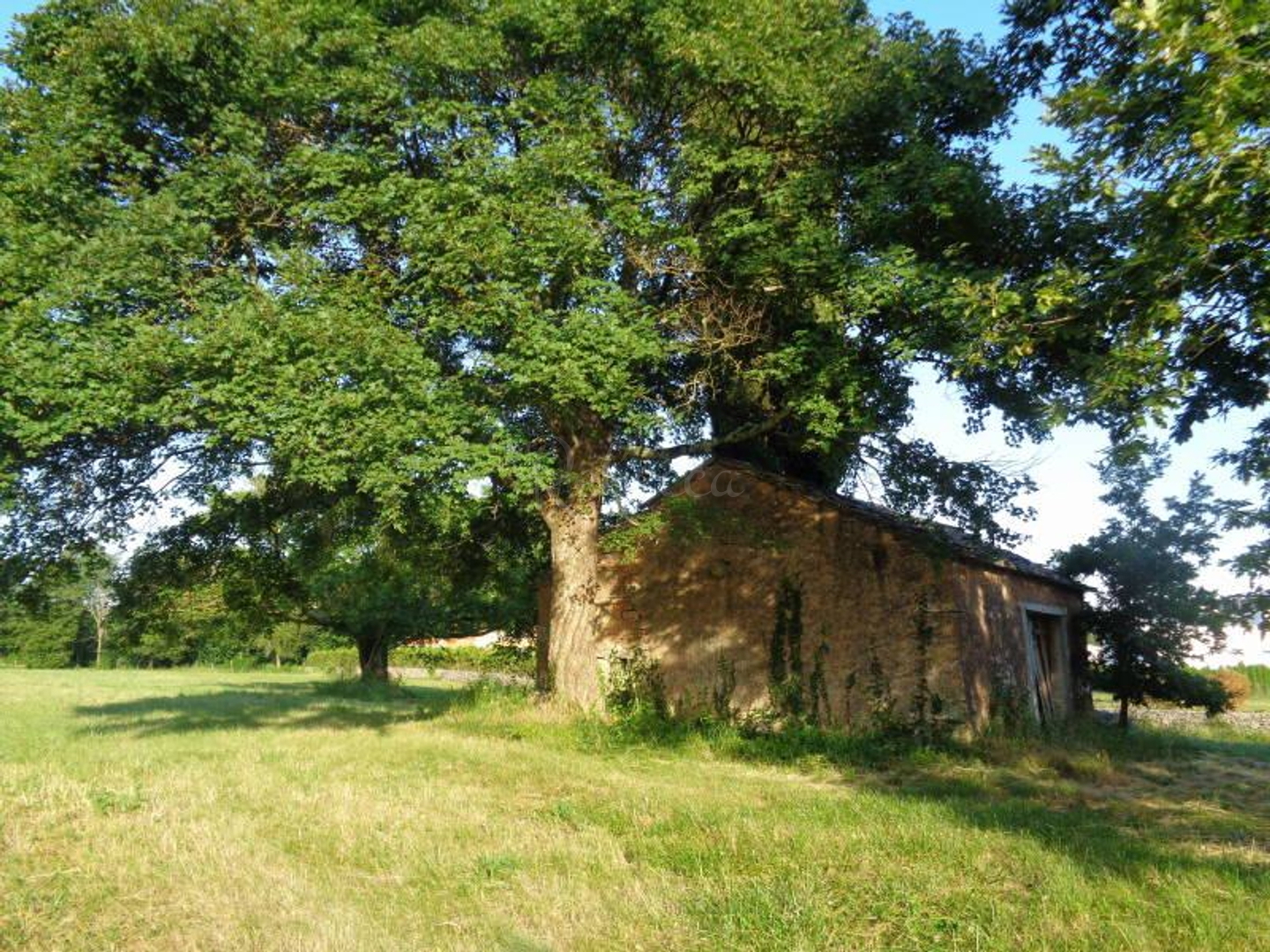Land For sale - Istarska Žminj