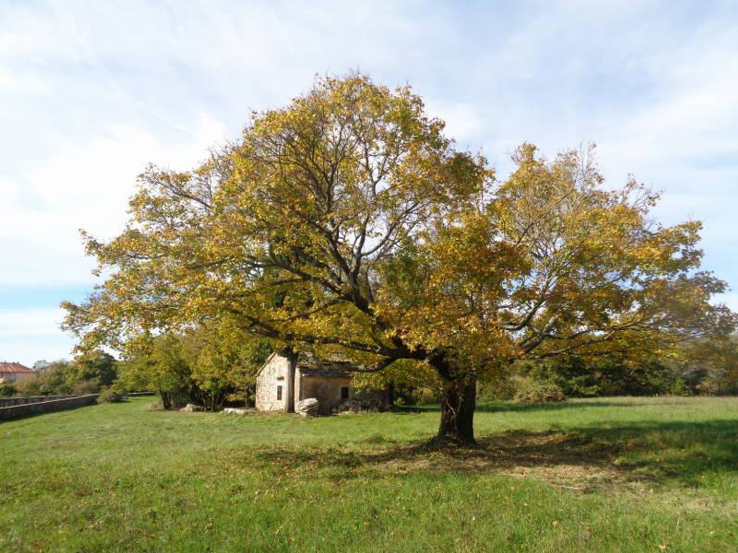 Land For sale - Istarska žminj - foto 3/13