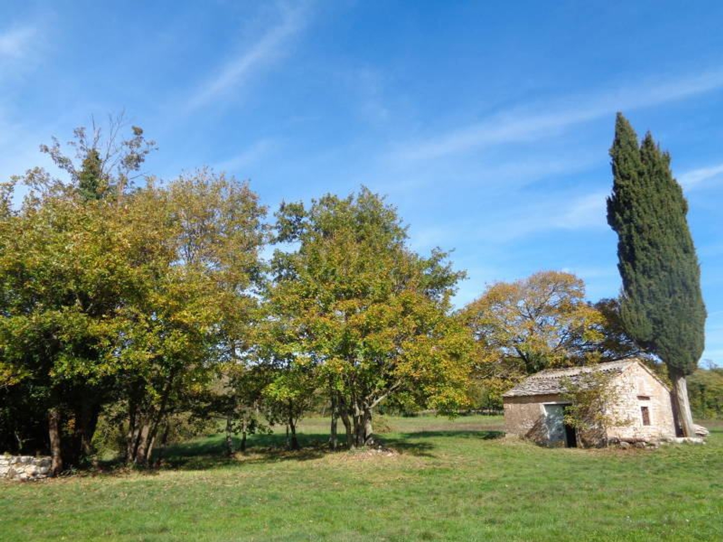 Land For sale - Istarska žminj - foto 4/13